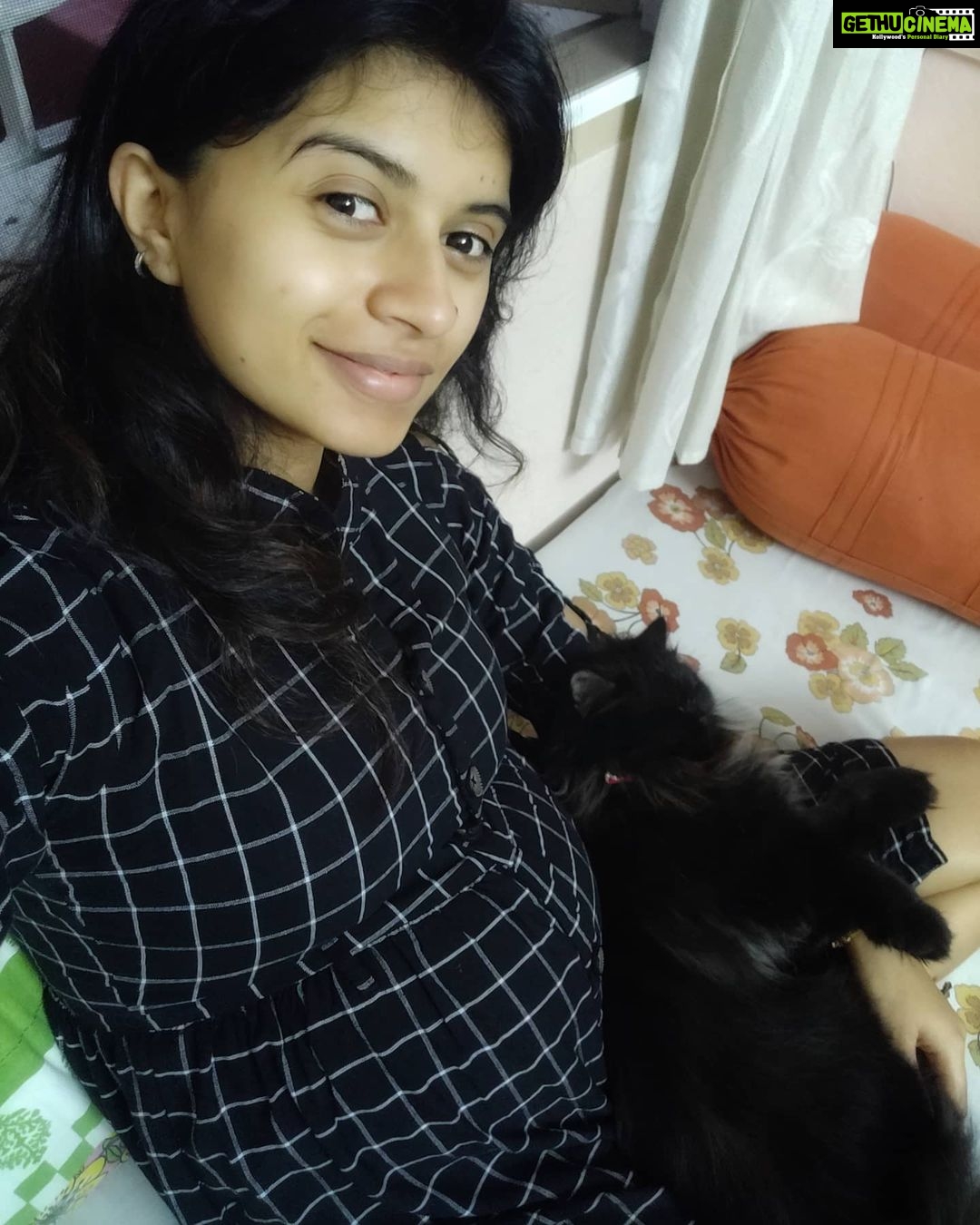Harija Instagram - My second trimester story with zuzu... I took this pic when I was six months pregnant.... I still remember how my cat(my daughter zuzu) was so attached towards me ... It seemed lik she was protecting me and the baby...and I understood something from her behaviour .. nothing should stop me from caressing her...... Becoz that is what she s expecting ... Unconditional love from me ... Even when the baby comes she will have the same attention I had given her before... To be honest she was a big support mentally for me... Her purring soothes me... When she plays with me I just forget all the stress that was not letting me see things clearing .... Having a pet or pets in your life is a gift that u bring for yourself in ur life... I have 2 more cats and 2 dogs in ma home town who have made me feel the same way... They are my family and families stand with u during ur tough period... And they did justice to that line❤️ my lovables will soon upload pics with the rest of my pets Note - I'm not biased over cats ... My intention here is to explain pets and their behaviours.. no matter which animal u have .... It's all the same when it comes to love😘 #pet #petlovers ylove