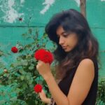 Harija Instagram - Rapid fire 🔥 😃 Are you as excited as I am to watch IPL. Don't miss any Cricketing 🏏 action by subscribing to @disneyplushotstarvip #NoSubscriptionNoIPL, so subscribe now