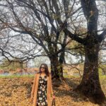 Hebah Patel Instagram – 🍂🍂🍂 palette!