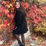 Hebah Patel Instagram - Sex Education inspo! 😻