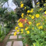 Helly Shah Instagram - Photodump coz why not 🙂🫶🏻 From our beautiful stay at the @stayvista_official ❤️ @serene_valley_resort ☀️ Thank you for the wonderful hospitality and experience ✨🌟❤️ #wayanad #kerala #ScriptYourStay