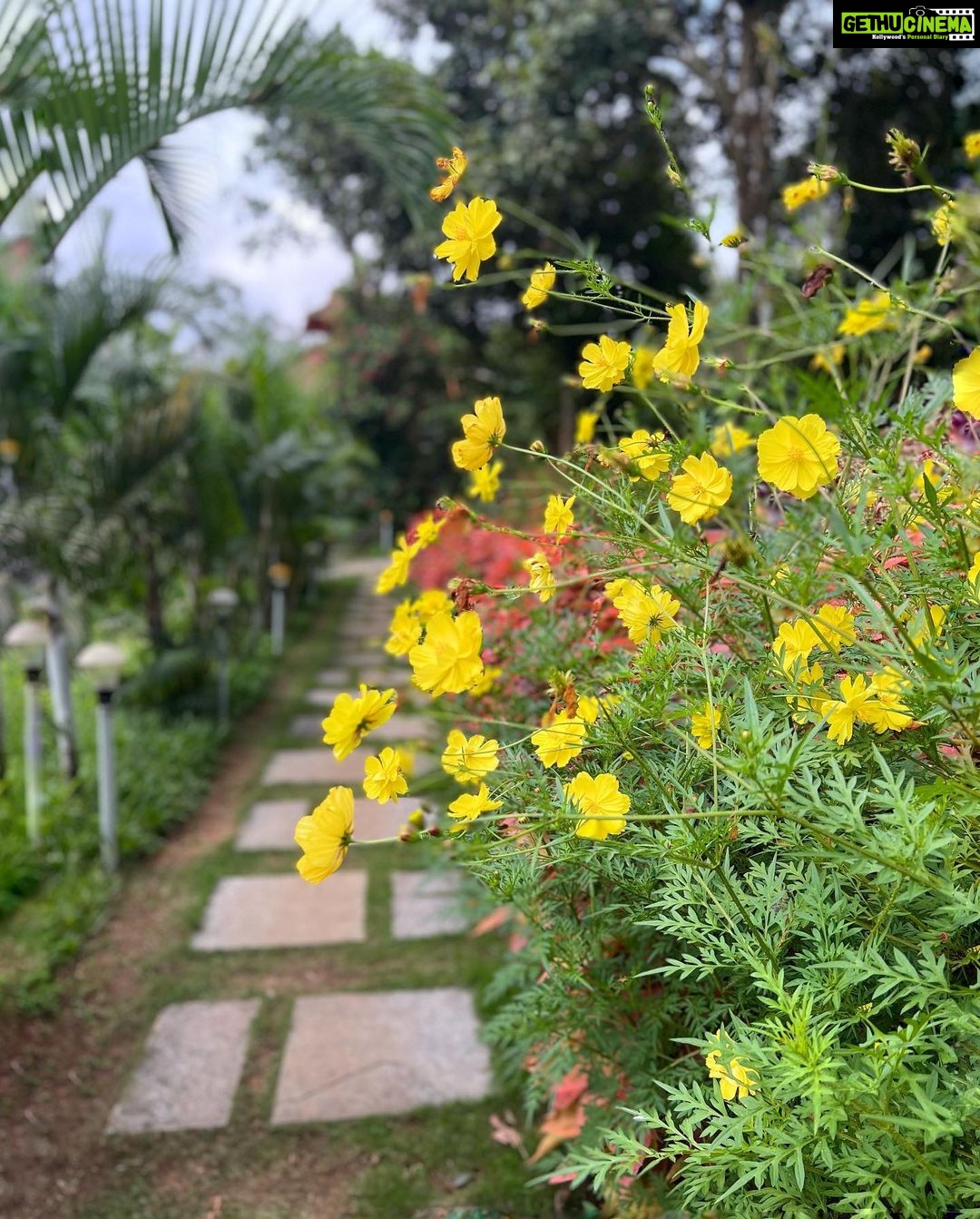 Helly Shah Instagram - Photodump coz why not 🙂🫶🏻 From our beautiful stay at the @stayvista_official ❤️ @serene_valley_resort ☀️ Thank you for the wonderful hospitality and experience ✨🌟❤️ #wayanad #kerala #ScriptYourStay