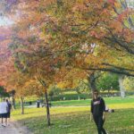Isha Chawla Instagram - Fall colours . The beauty of letting go 💖 . . . . #eshachawla #boston #fall #fallcolors #seasons Boston, Massachusetts