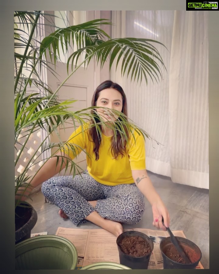 Isha Chawla Instagram - Such is life ….. Thoda Paani Dalo thoda Khaad Daalo … Gamala Chota pade to Badal daalo Bas yahi jeevan hai . Kuncham water poyi , kuncham khad veyi… pot chinnaga anipiste … Marcheyi Bas yahi Jeevan hai ( didnt know how to say it in Telugu) #eshachawla #telugu #teluguactress #tollywood #koshish #life #love #gratitude #green