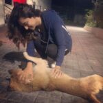 Isha Chawla Instagram – Post pack up ritual . #puppylove 
.
.
#filmshoot #tollywood #love #lovemyjob #pyaar #firstlove #telugufilm