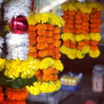 Isha Chawla Instagram – Happy Diwali 🪔