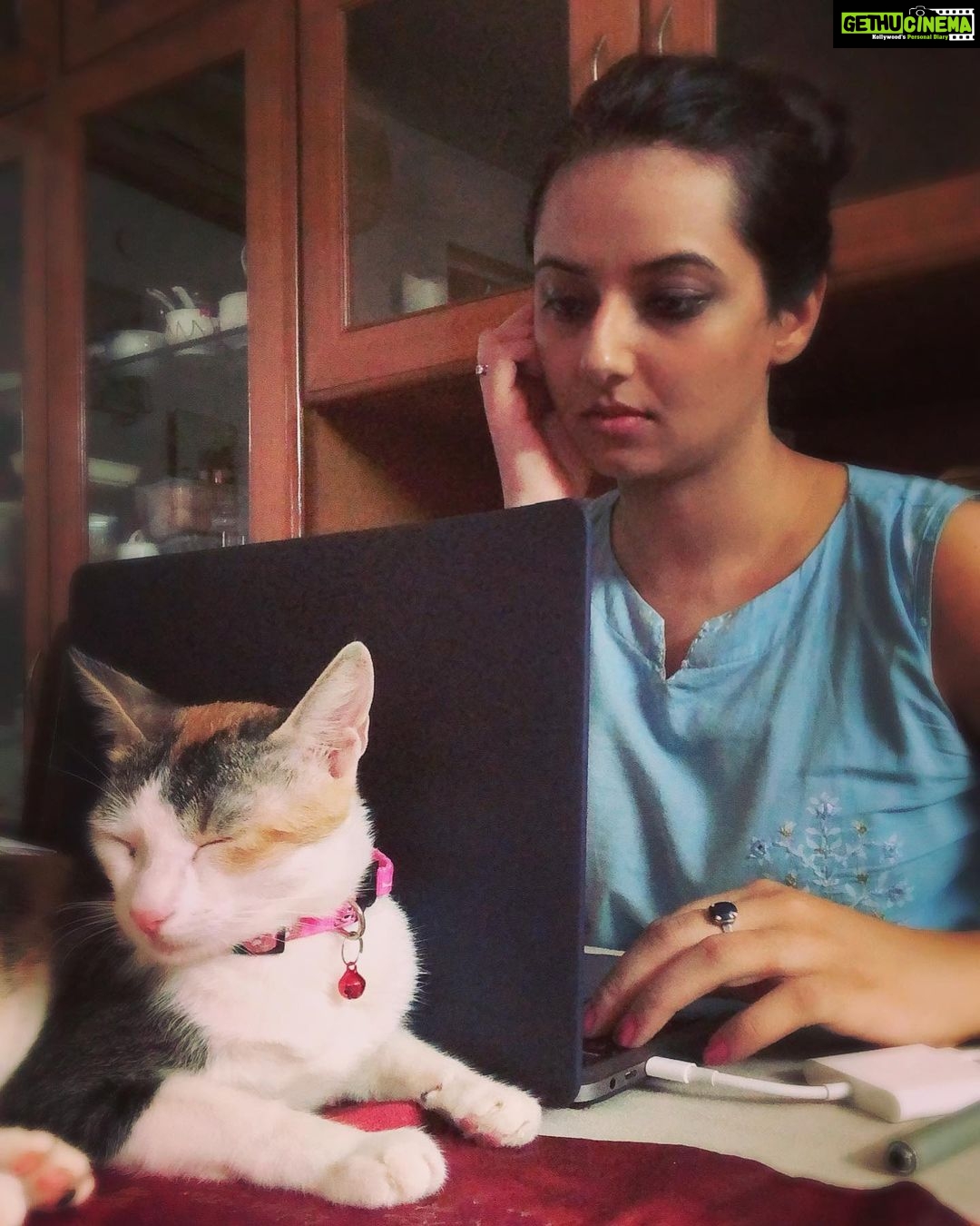 Isha Chawla Instagram - Happy daughter’s day .... love you #phoebe 🖤 . . . . #forever #motherdaughter #cats #catlove #phoebe #animallovers #happydaughtersday
