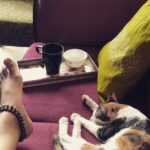 Isha Chawla Instagram - Lazy afternoons .... the quite between pampered mornings and spoilt evenings . 🌟 aahhh Delhi . . . . #delhilife #phoebe #indianjwellery #traditional #afternoons #afternoonnapping #dhoopchhao #catsofinstagram #paironmeinbandhanhai #chai #chailovers #teatime #chaistory #dilli #delhi