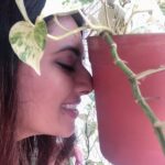Isha Chawla Instagram - I confide in them ... I hug them and I’m definitely the happiest around them ....💚💚💚💚 #worldenvironmentday . Your environment is only your reflection 🤍💚 #green #environment #love #peace #love #happiness #bestftiends #gratitude #earth