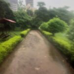 Isha Chawla Instagram - Now if you haven’t done this ever ... you wouldn’t understand what I’m saying ... But do yourselves a favour this monsoon ... if it rains in the morning just put on your walking shoes n go for a walk .... if you have water proof earphones , you have the greatest treasure in this universe ... like I do ... and thank you @beatsbydre for making these all though my playlist changed from the work out music to old Hindi music 🎧 but if you don’t have music just listen to the nature’s music . Keep your eyes low n chin up And then just let the nature heal you . 💙 Walk n walk in the rain to ur hearts content and then if you wish take a picture with your happy face in the end , you might have to buy a new phone after that 🙈 @apple it’s high time we get a water proof phone . 💦 make sure you take bath as soon as u reach home and then treat yourself with a nice hot cup of tea . ☕️. 🖤🖤🖤 #monsoon #love #mumbaimonsoon #loverains #walkingintherain #happyme #weekend #love #smilecauseitscontagious #rainstorms