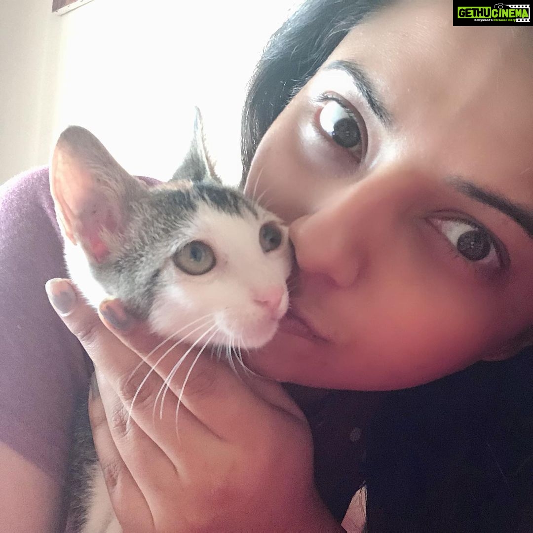 Isha Chawla Instagram - Love ♥️ #valentines #love #life #animallove #gratitude #Chanel #phoebe