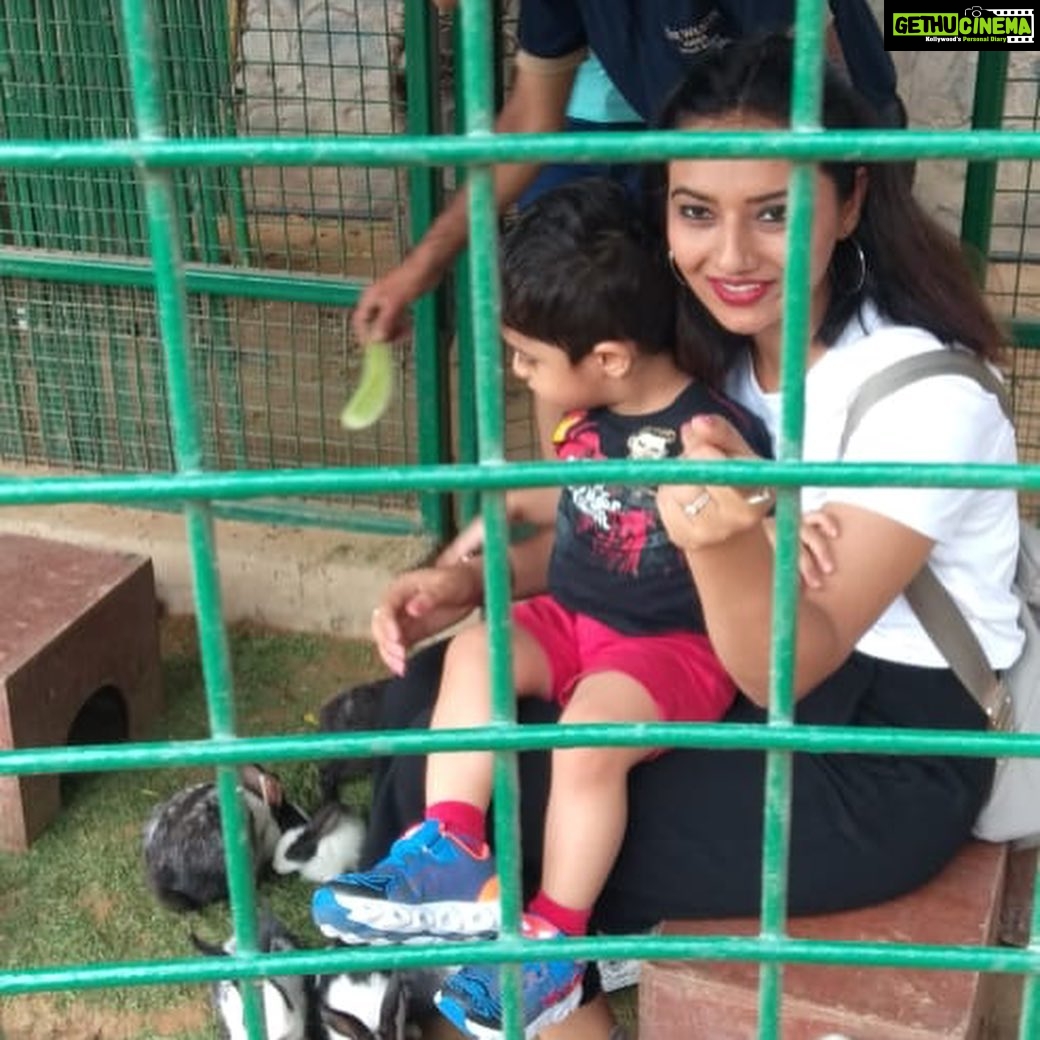 Isha Chawla Instagram - My mother always believed that we belong in the zoo ... I think i agree with her today . 🙈🙈🙈 #zoo #animallovers #gratitude #mahi #veer #mahinveer #massilove #familytime #summer #vacay #familylove #lovemyfamily