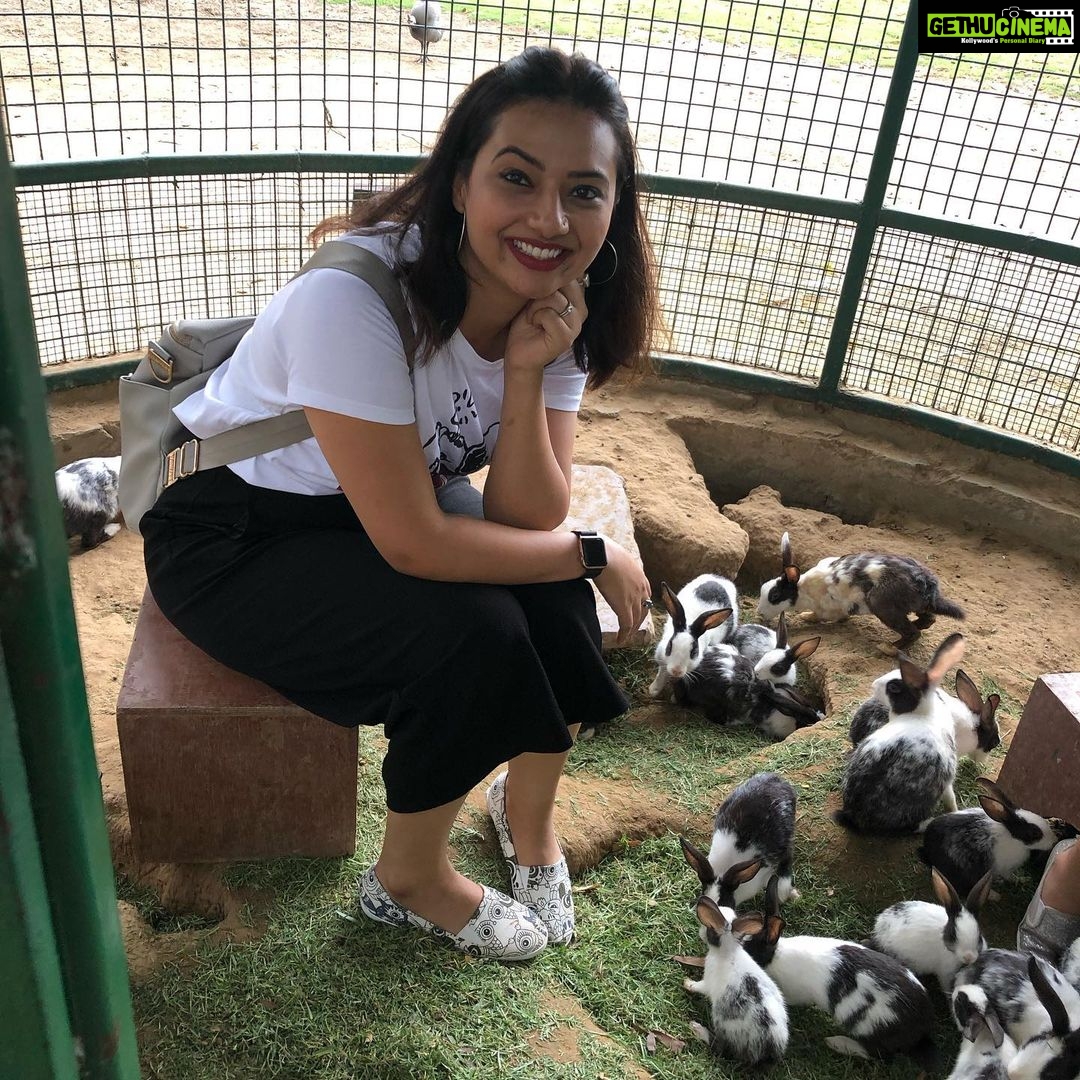 Isha Chawla Instagram - My mother always believed that we belong in the zoo ... I think i agree with her today . 🙈🙈🙈 #zoo #animallovers #gratitude #mahi #veer #mahinveer #massilove #familytime #summer #vacay #familylove #lovemyfamily