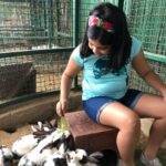 Isha Chawla Instagram - My mother always believed that we belong in the zoo ... I think i agree with her today . 🙈🙈🙈 #zoo #animallovers #gratitude #mahi #veer #mahinveer #massilove #familytime #summer #vacay #familylove #lovemyfamily
