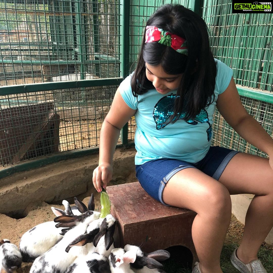 Isha Chawla Instagram - My mother always believed that we belong in the zoo ... I think i agree with her today . 🙈🙈🙈 #zoo #animallovers #gratitude #mahi #veer #mahinveer #massilove #familytime #summer #vacay #familylove #lovemyfamily