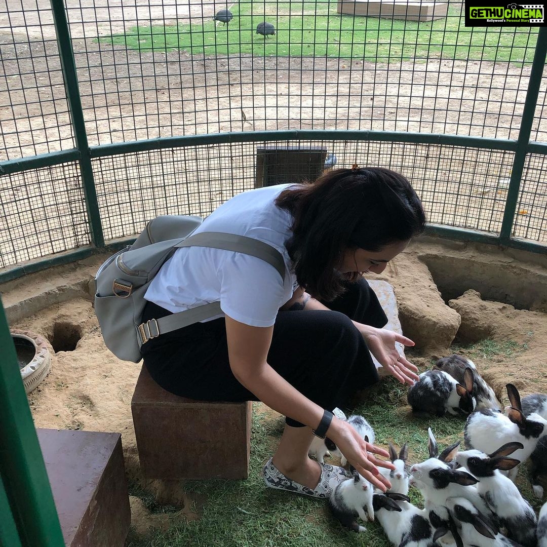 Isha Chawla Instagram - My mother always believed that we belong in the zoo ... I think i agree with her today . 🙈🙈🙈 #zoo #animallovers #gratitude #mahi #veer #mahinveer #massilove #familytime #summer #vacay #familylove #lovemyfamily