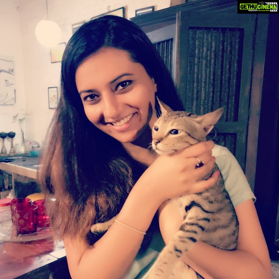 Isha Chawla Instagram - N who says βcats are not affectionate β meet Mr. Simba the most loving cat on earth . πππ#cats #catsofinstagram #happiness #catlover #animallover #kitty #love #gratitude