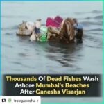 Isha Chawla Instagram - #Repost @treeganesha with @get_repost ・・・ Experts say that it is mainly because of the immersion of Plaster of Paris (PoP) Ganesh idol in the sea water. However, there are eco-friendly alternatives such as idols filled with seeds #treeganehsa #Seedsganesha