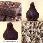 Isha Chawla Instagram - #Repost @shreyagupta0214 with @get_repost ・・・ Page 1 Of This year’s Ganesh Chaturthi Menu - comprising of 1) Healthy Orange Zucchini Brownie Modak - Rs. 45 per pc 2) Chocolate Coconut Modak - Rs. 25 per pc 3) Almond Praline Modak - Rs. 20 per pc 4) Gooey Brownie Modak - Rs. 25 per pc Order now!!@live2eatdesserts