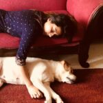 Isha Chawla Instagram - #sundays be like ❤️🙈Goodmorning😘 have a happy sunday #love #sundaymood #chanel #truelove #lazysunday #puppylove #unconditionallove #doglovers #labrador #gratitude