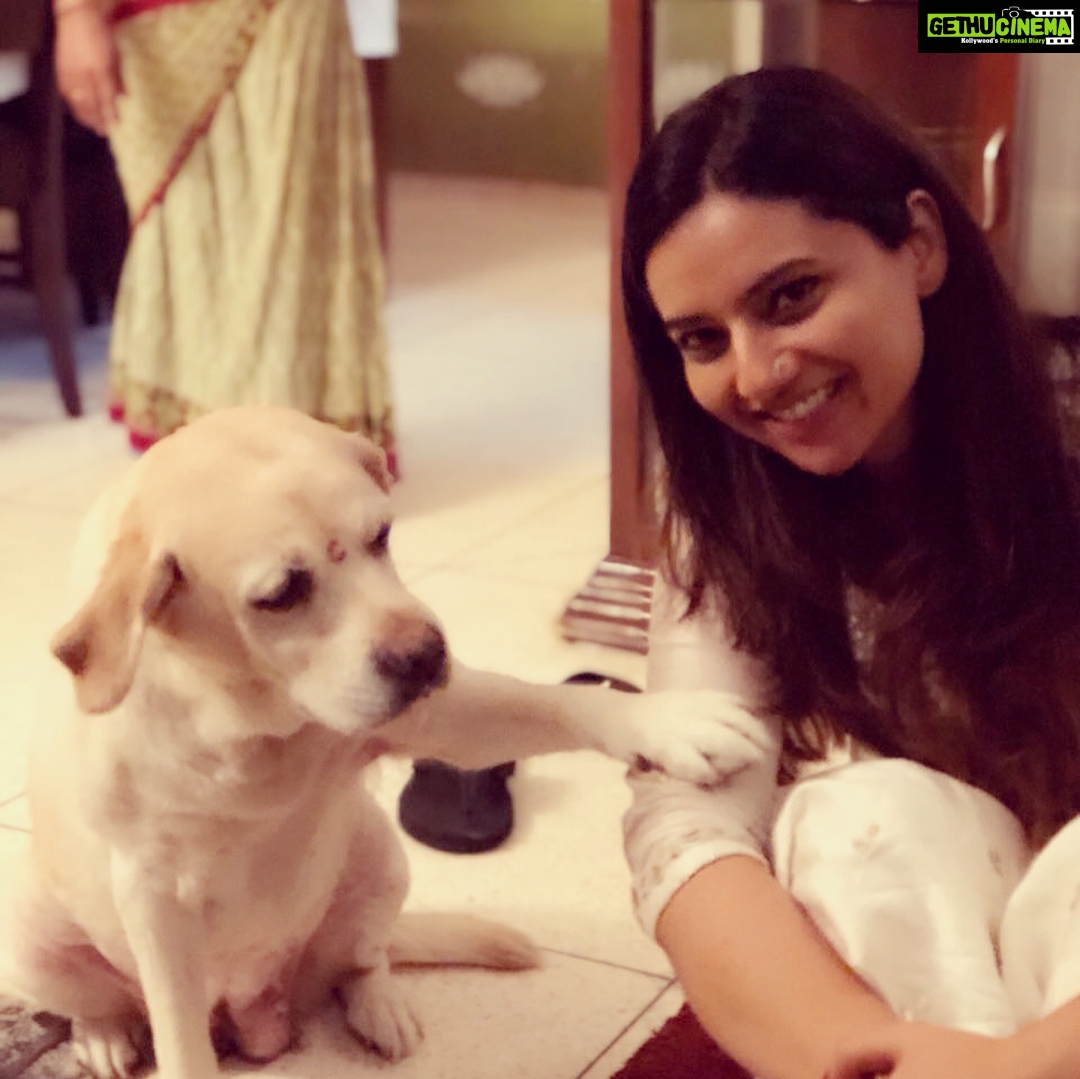 Isha Chawla Instagram - Love n just love π... home is where love is π .. wish you all a lovable morning βοΈ #delhi #home #truelove #puppylove #happiness #chanel #gratitude #labrador #dogs #unconditionallove #doglover