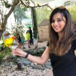 Isha Chawla Instagram - Bird feeding 💖. #birdwatching #birdsofinstagram #birds #nature #family #familytime #usa #usadiary #holiday #summer2018 #gratitude #universe