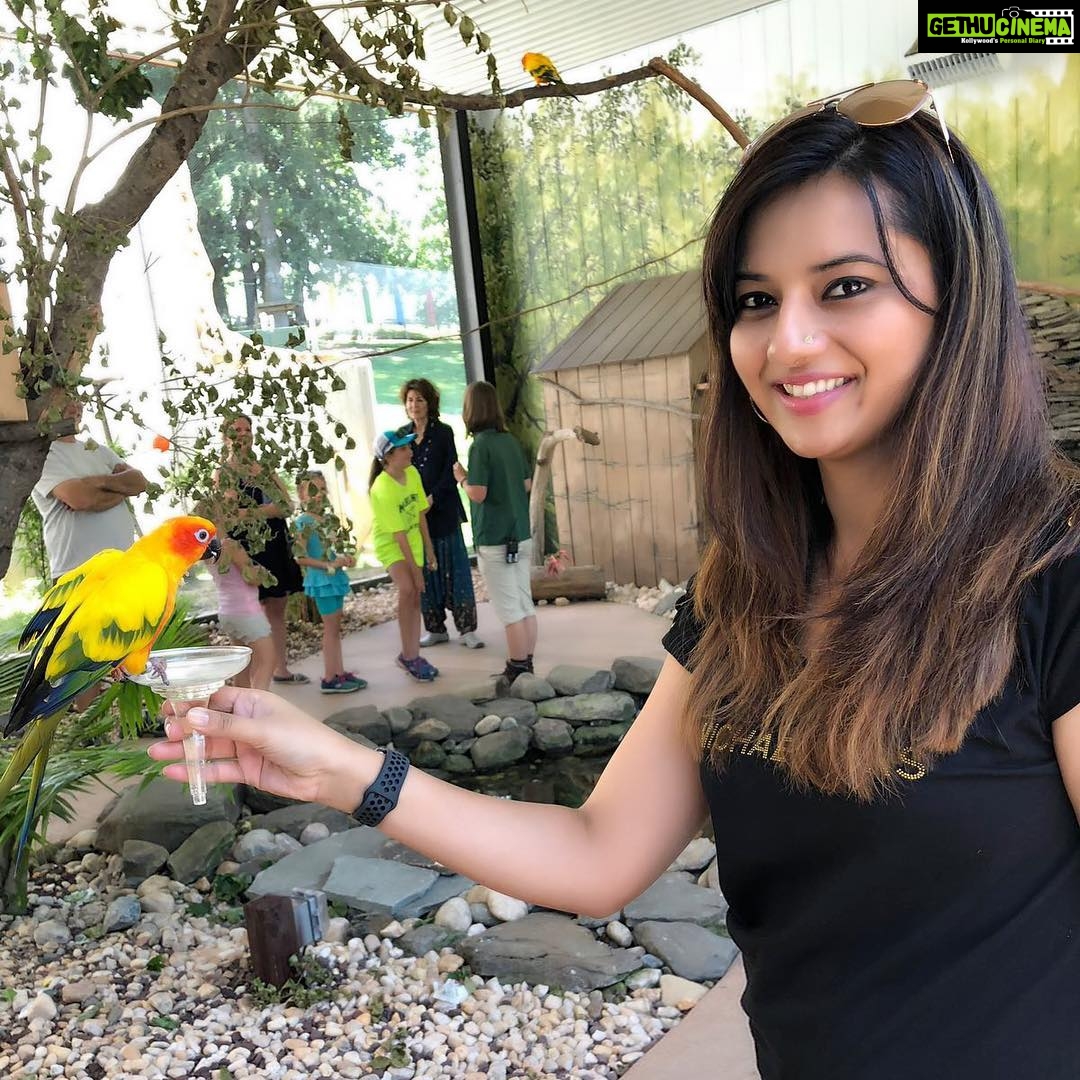 Isha Chawla Instagram - Bird feeding 💖. #birdwatching #birdsofinstagram #birds #nature #family #familytime #usa #usadiary #holiday #summer2018 #gratitude #universe