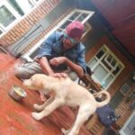 Jackie Shroff Instagram – Compassion is what makes a human and Indians are the most compassionate people . To see hunger and helplessness in any homeless species and to do something about it is a sign of a spiritually evolved person .#FeedStrays ♥️ @anupampkher @anilskapoor @madhuridixitnene @kishushroff @tigerjackieshroff @ayeshashroff @neena_gupta @suniel.shetty @ishaankhatter @siddhantchaturvedi