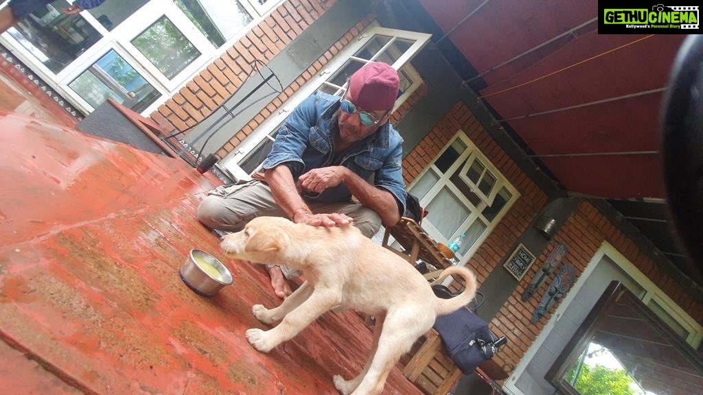 Jackie Shroff Instagram - Compassion is what makes a human and Indians are the most compassionate people . To see hunger and helplessness in any homeless species and to do something about it is a sign of a spiritually evolved person .#FeedStrays ♥️ @anupampkher @anilskapoor @madhuridixitnene @kishushroff @tigerjackieshroff @ayeshashroff @neena_gupta @suniel.shetty @ishaankhatter @siddhantchaturvedi