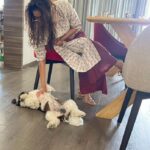 Keerthy Suresh Instagram - My son 🐶🙄😂 #HappyChildrensDay #ChildrensDay #NykeDiaries #KAndNyke