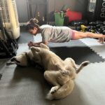 Kriti Kharbanda Instagram - There are two kinds of people in this world. The ones who plank and the ones who reverse plank. Which one are you!? 😅😅 . . . #plankchallenge #plankitlikeitshot #dogsofinstagram #puppylove @drogohusky
