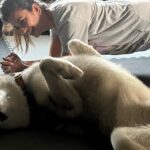 Kriti Kharbanda Instagram - There are two kinds of people in this world. The ones who plank and the ones who reverse plank. Which one are you!? 😅😅 . . . #plankchallenge #plankitlikeitshot #dogsofinstagram #puppylove @drogohusky
