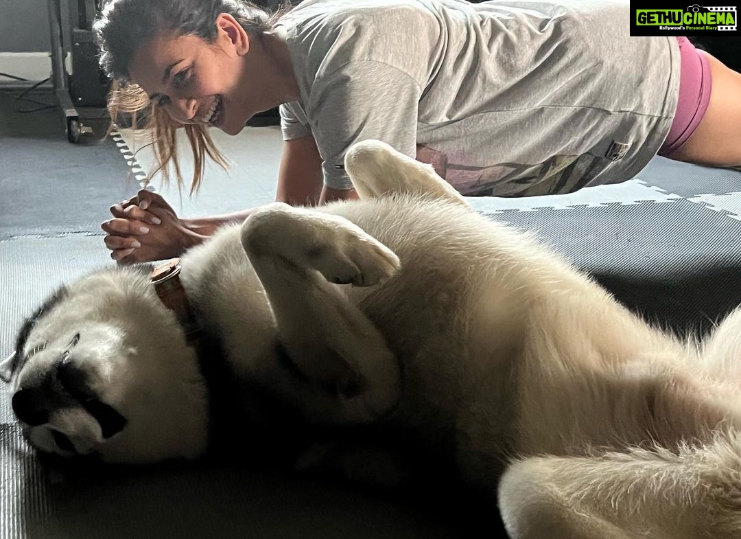 Kriti Kharbanda Instagram - There are two kinds of people in this world. The ones who plank and the ones who reverse plank. Which one are you!? π
π
. . . #plankchallenge #plankitlikeitshot #dogsofinstagram #puppylove @drogohusky