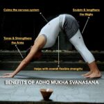Lara Dutta Instagram – Adho Mukha Svanasana or the downward facing dog pose is one of the most popular yoga poses. Adho Mukha Svanasana works your entire body and requires a lot of strength. This basic yoga asana has several health benefits. Learn more such beneficial yoga poses with @larabhupathi only on SocialSwag.
Join now. 
 #socialswag #masterclass #exclusive #lara #yoga