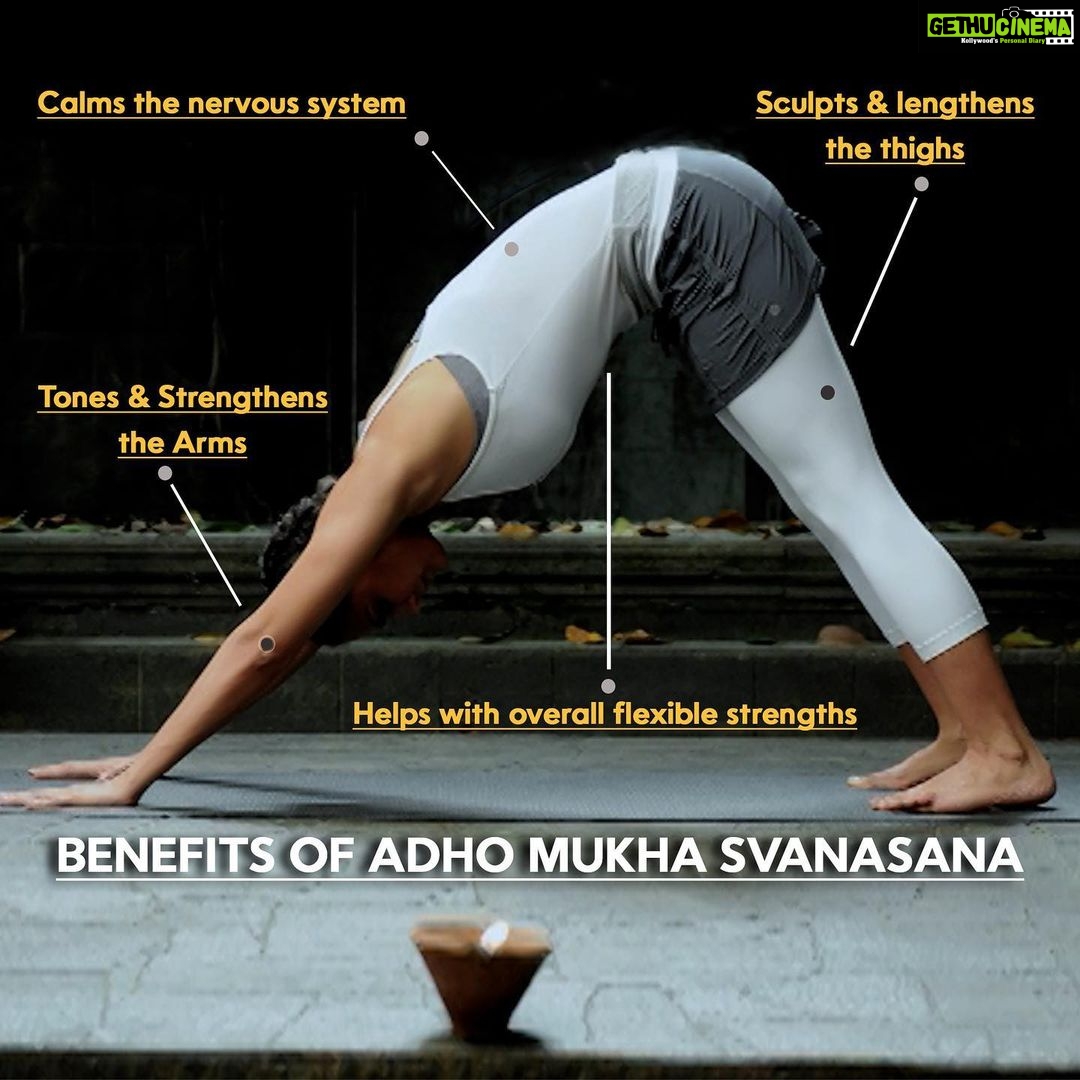 Lara Dutta Instagram - Adho Mukha Svanasana or the downward facing dog pose is one of the most popular yoga poses. Adho Mukha Svanasana works your entire body and requires a lot of strength. This basic yoga asana has several health benefits. Learn more such beneficial yoga poses with @larabhupathi only on SocialSwag. Join now. #socialswag #masterclass #exclusive #lara #yoga