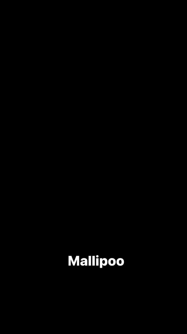 Madhushree Instagram - #mallipoo … #mallipooreels With in three weeks reached 100k reels #silambarasan #arrahman #gautamvasudevmenon #silambarasan_str #silambarasan_holic #silambarasanofficial❣ #arrahman_360 #arrahmansongs #arrahmanmusic #thamarai #thamarailyrics #vtk #vtksongs #thinkmusic #velsuniversity