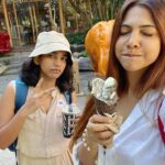 Madonna Sebastian Instagram – Screams and Icecream 🦓🍦
#jungle #wild #wildlife