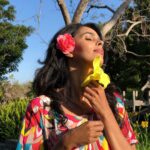 Mallika Sherawat Instagram - NO Botox, NO fillers ! I enjoy being as natural as GOD made me :) . . . . . . . . . . #positiveaffirmations #healthymind #innerstrength #trustyourjourney #healthymindset #positivemind #getoutside #naturegram #exploretocreate #happyheart #happyplace #happythoughts #instamood #smilesallaround #alwayssmile #peace #peacefull #lifeisbeautiful #inspire #joy#sonya7iii #colorful