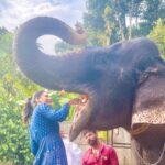Malti Chahar Instagram - A shower with Dhriti🐘😃She is just ❤️ #love #elephant Kerala God's Own Country