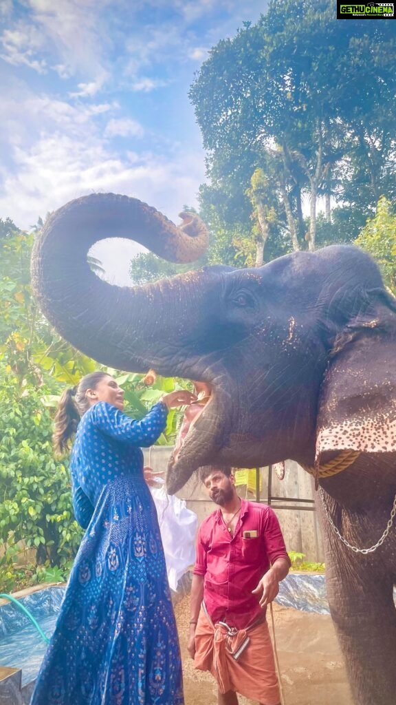 Malti Chahar Instagram - A shower with Dhriti🐘😃She is just ❤ #love #elephant Kerala God's Own Country