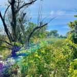 Meera Nandan Instagram - Happy trails #throwbackpicture #chicago #chainolakes #hiking #love #solotrip #solo #ustrip #ustrip2022🇺🇸 #instagood #happyme Chicago, Illinois