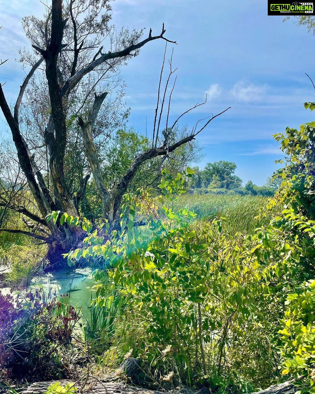 Meera Nandan Instagram - Happy trails #throwbackpicture #chicago #chainolakes #hiking #love #solotrip #solo #ustrip #ustrip2022🇺🇸 #instagood #happyme Chicago, Illinois
