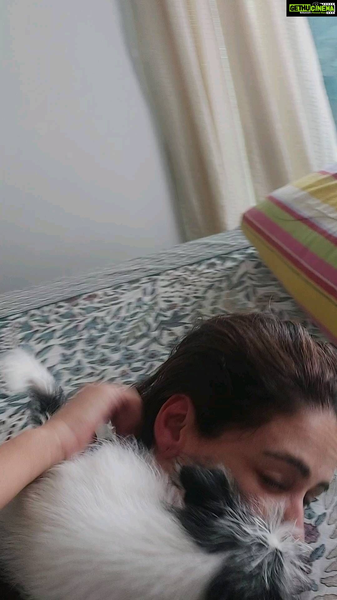 Mona Singh Instagram - Our daily ritual #idli #shihtzu #puppylove #happiness #purelove