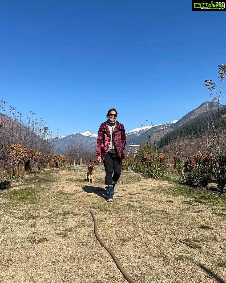 Mona Singh Instagram - Walking into 2021 hoping for more travel more laughter more books more coffee more hugs more creativity more love . Pic courtesy @skyaks #manali #himachal #snow #happiness