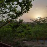 Mona Singh Instagram - Beautiful paradise to get lost ... #udaipur #family #wedding #whataview #naturephotography Ananta Spas and Resorts