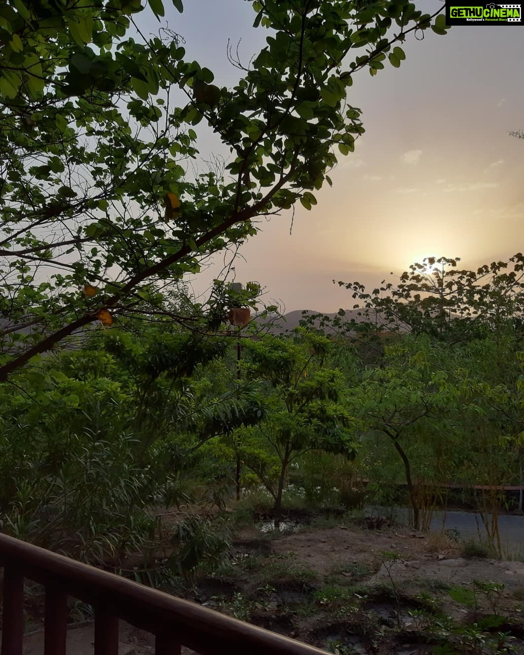 Mona Singh Instagram - Beautiful paradise to get lost ... #udaipur #family #wedding #whataview #naturephotography Ananta Spas and Resorts