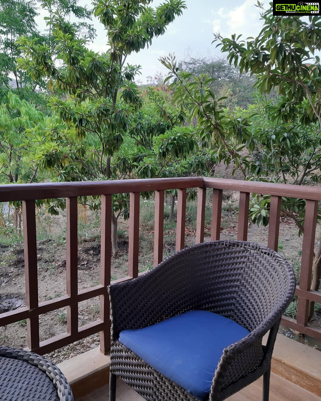 Mona Singh Instagram - Beautiful paradise to get lost ... #udaipur #family #wedding #whataview #naturephotography Ananta Spas and Resorts