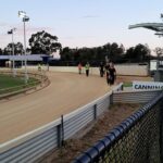 Mona Singh Instagram - Greyhound racing ... #perth #Australia #racing #greyhound