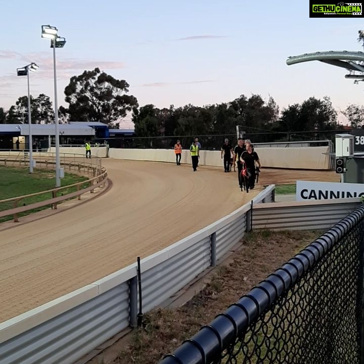 Mona Singh Instagram - Greyhound racing ... #perth #Australia #racing #greyhound