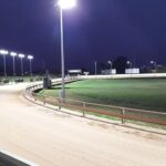 Mona Singh Instagram - At the Greyhound racing.. #perth #Australia #fastdogs #runners #athletes Greyhounds WA